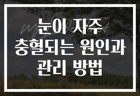 눈이 자주 충혈되는 원인과 관리 방법