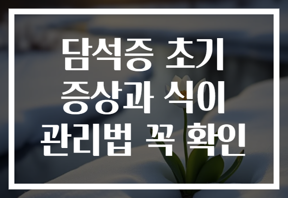 담석증 초기 증상과 식이 관리법 꼭 확인