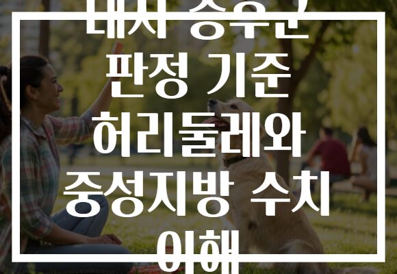 대사 증후군 판정 기준 허리둘레와 중성지방 수치 이해