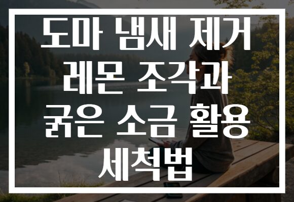 도마 냄새 제거 레몬 조각과 굵은 소금 활용 세척법