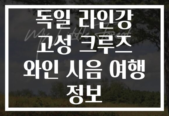 독일 라인강 고성 크루즈 와인 시음 여행 정보