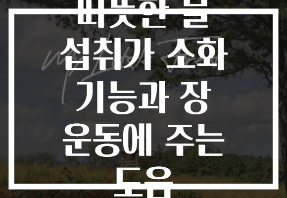 따뜻한 물 섭취가 소화 기능과 장 운동에 주는 도움