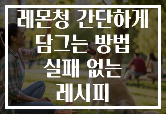 레몬청 간단하게 담그는 방법 실패 없는 레시피