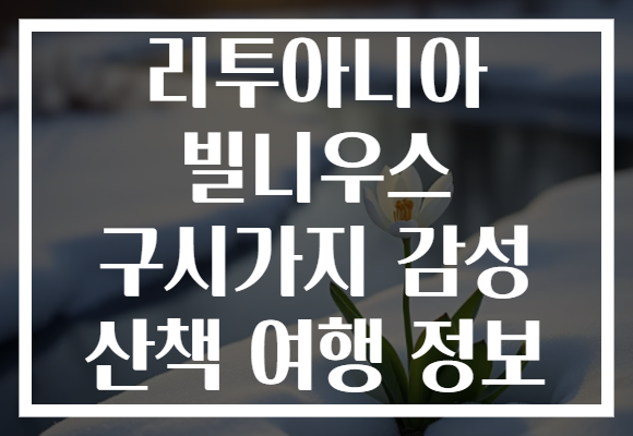 리투아니아 빌니우스 구시가지 감성 산책 여행 정보