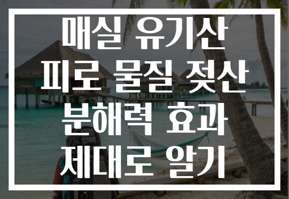 매실 유기산 피로 물질 젖산 분해력 효과 제대로 알기