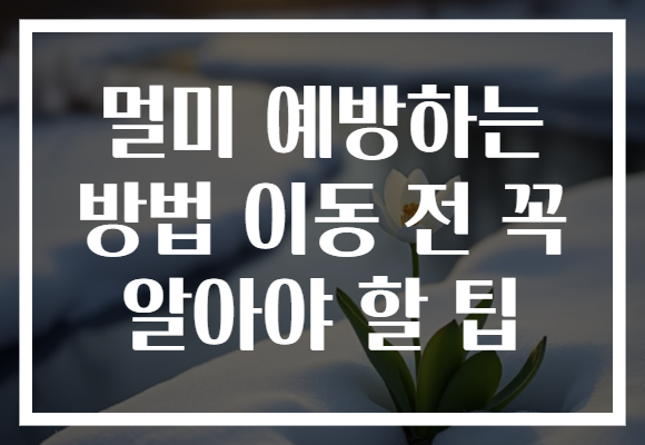 멀미 예방하는 방법 이동 전 꼭 알아야 할 팁