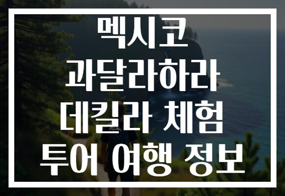 멕시코 과달라하라 데킬라 체험 투어 여행 정보