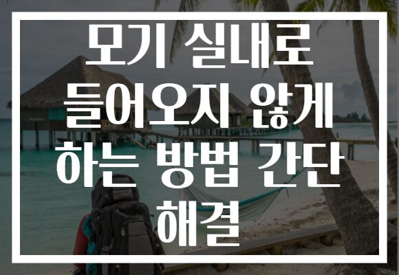 모기 실내로 들어오지 않게 하는 방법 간단 해결