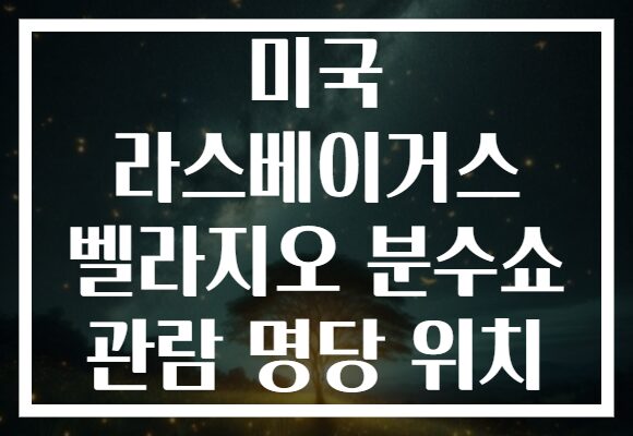 미국 라스베이거스 벨라지오 분수쇼 관람 명당 위치