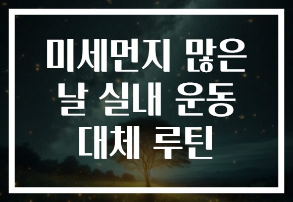미세먼지 많은 날 실내 운동 대체 루틴
