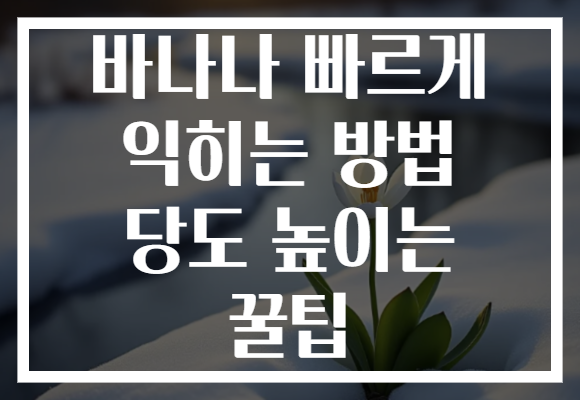바나나 빠르게 익히는 방법 당도 높이는 꿀팁