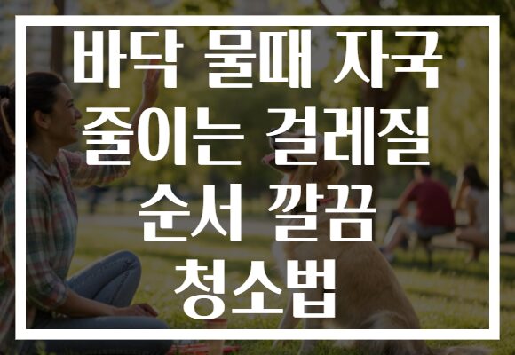바닥 물때 자국 줄이는 걸레질 순서 깔끔 청소법