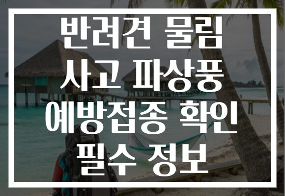 반려견 물림 사고 파상풍 예방접종 확인 필수 정보