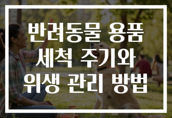 반려동물 용품 세척 주기와 위생 관리 방법