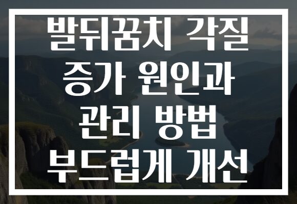 발뒤꿈치 각질 증가 원인과 관리 방법 부드럽게 개선