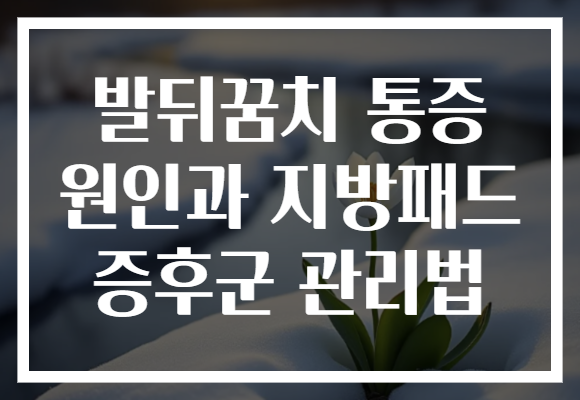 발뒤꿈치 통증 원인과 지방패드 증후군 관리법