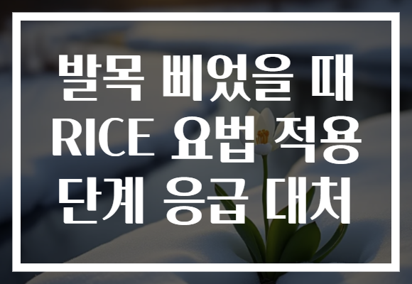 발목 삐었을 때 RICE 요법 적용 단계 응급 대처