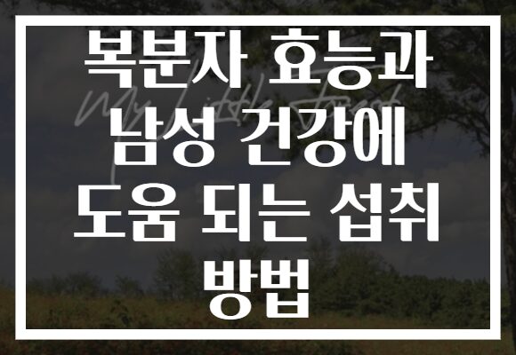복분자 효능과 남성 건강에 도움 되는 섭취 방법