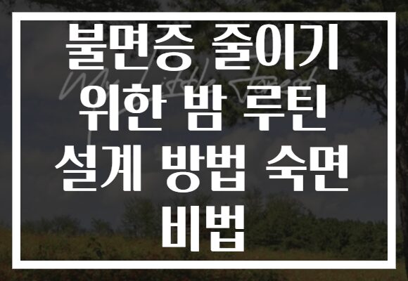 불면증 줄이기 위한 밤 루틴 설계 방법 숙면 비법