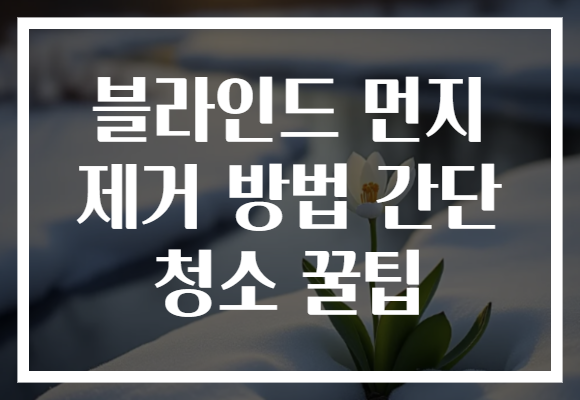 블라인드 먼지 제거 방법 간단 청소 꿀팁
