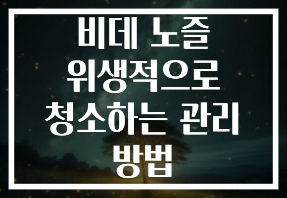 비데 노즐 위생적으로 청소하는 관리 방법