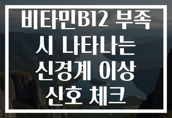 비타민B12 부족 시 나타나는 신경계 이상 신호 체크