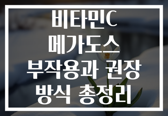 비타민C 메가도스 부작용과 권장 방식 총정리