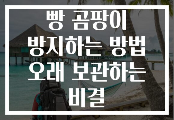 빵 곰팡이 방지하는 방법 오래 보관하는 비결