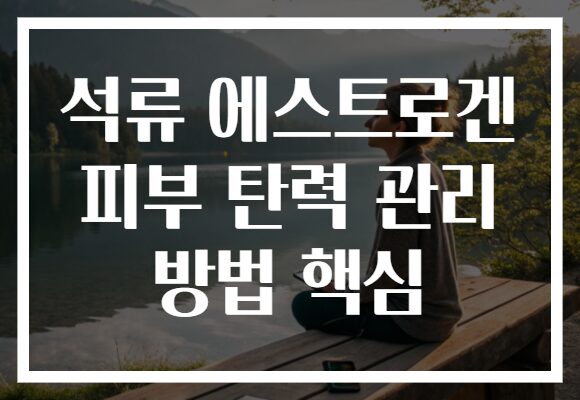 석류 에스트로겐 피부 탄력 관리 방법 핵심