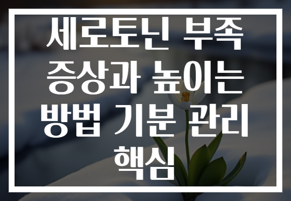 세로토닌 부족 증상과 높이는 방법 기분 관리 핵심