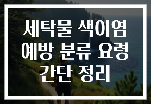 세탁물 색이염 예방 분류 요령 간단 정리