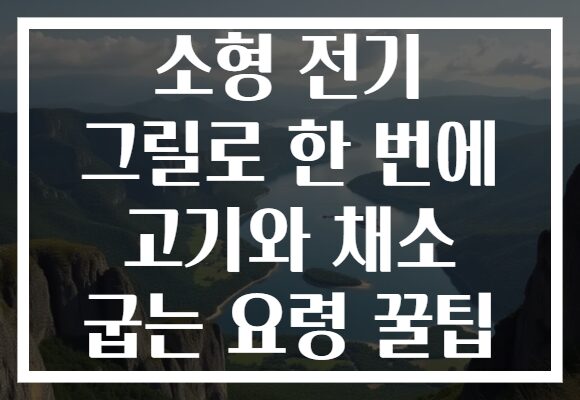 소형 전기 그릴로 한 번에 고기와 채소 굽는 요령 꿀팁