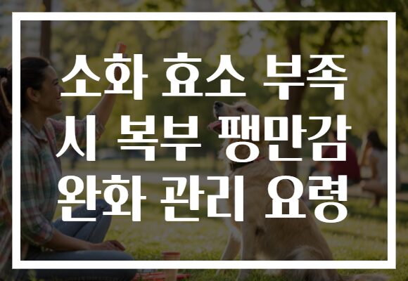 소화 효소 부족 시 복부 팽만감 완화 관리 요령