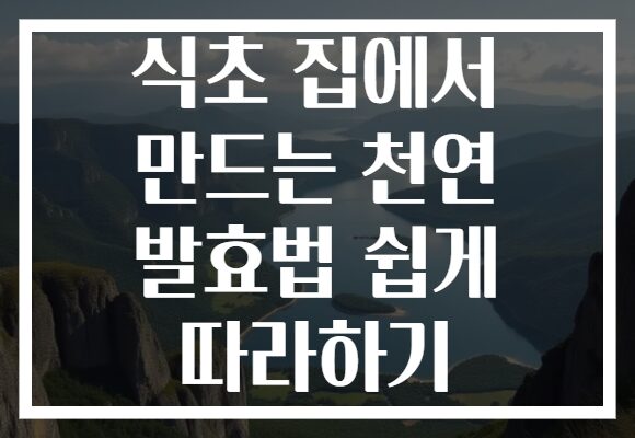 식초 집에서 만드는 천연 발효법 쉽게 따라하기