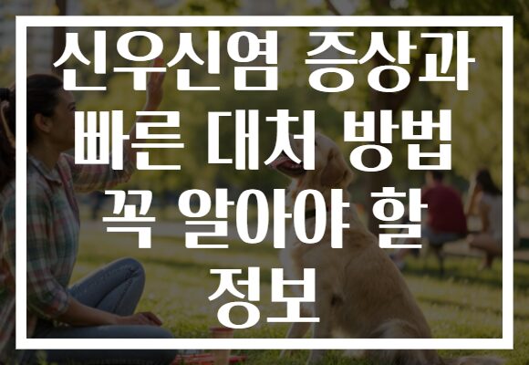 신우신염 증상과 빠른 대처 방법 꼭 알아야 할 정보