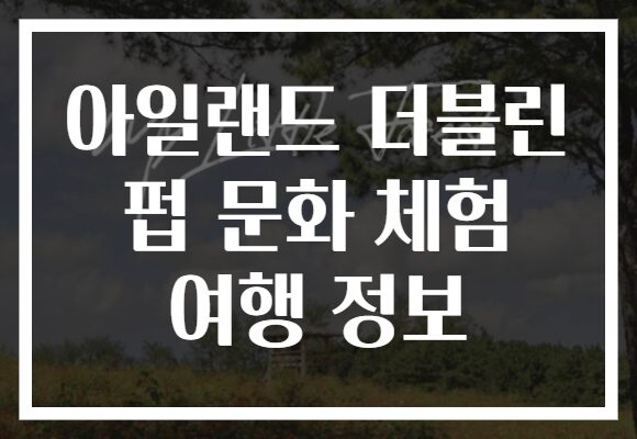 아일랜드 더블린 펍 문화 체험 여행 정보