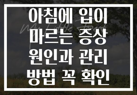 아침에 입이 마르는 증상 원인과 관리 방법 꼭 확인