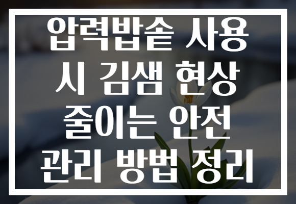 압력밥솥 사용 시 김샘 현상 줄이는 안전 관리 방법 정리