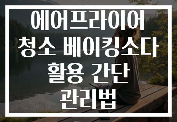 에어프라이어 청소 베이킹소다 활용 간단 관리법