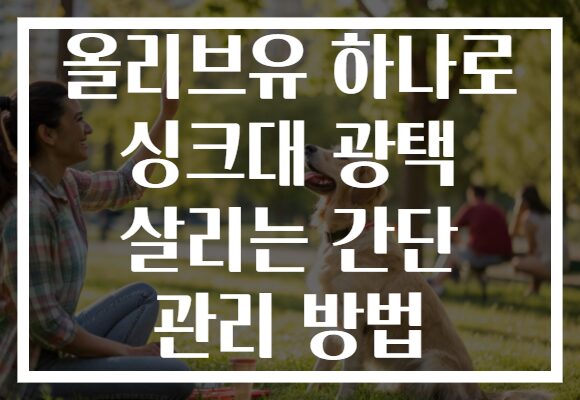 올리브유 하나로 싱크대 광택 살리는 간단 관리 방법