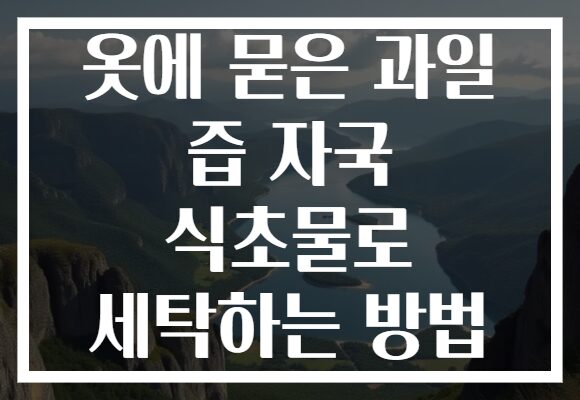 옷에 묻은 과일 즙 자국 식초물로 세탁하는 방법