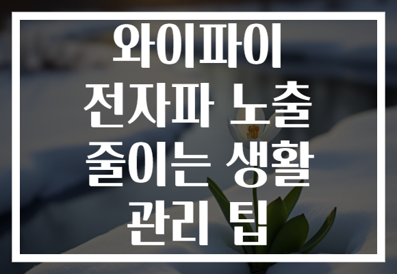 와이파이 전자파 노출 줄이는 생활 관리 팁