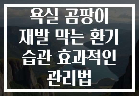 욕실 곰팡이 재발 막는 환기 습관 효과적인 관리법