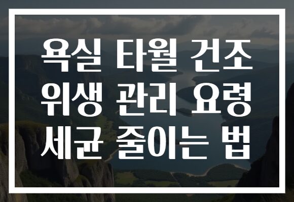 욕실 타월 건조 위생 관리 요령 세균 줄이는 법