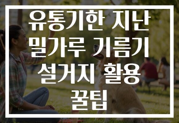 유통기한 지난 밀가루 기름기 설거지 활용 꿀팁