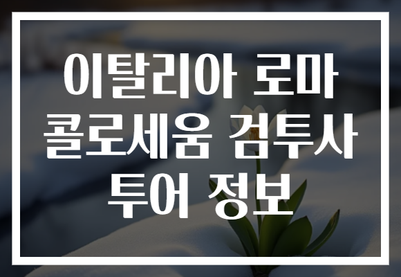 이탈리아 로마 콜로세움 검투사 투어 정보