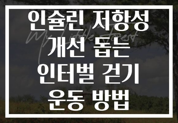 인슐린 저항성 개선 돕는 인터벌 걷기 운동 방법