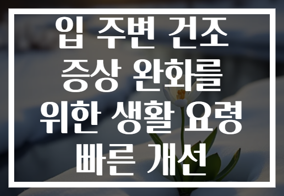 입 주변 건조 증상 완화를 위한 생활 요령 빠른 개선