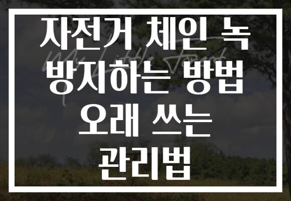 자전거 체인 녹 방지하는 방법 오래 쓰는 관리법