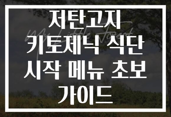 저탄고지 키토제닉 식단 시작 메뉴 초보 가이드